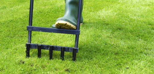 Tips on How to Take Care of Lawn During Drought Periods