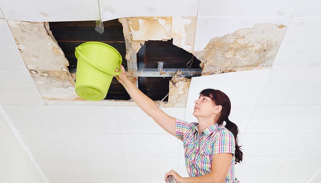 What Does Water Damage Restoration Include?